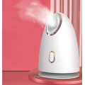 Adjusts Water And Oil Balance Nano Facial Steamer